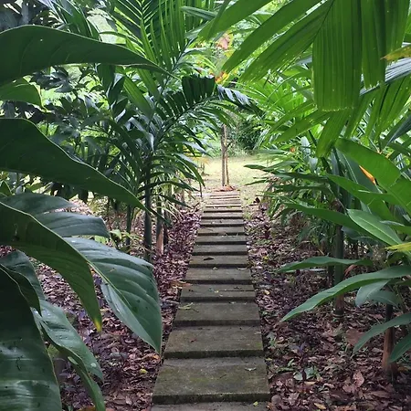 Baansuan Suksangob Farm Stay Trang Exterior photo
