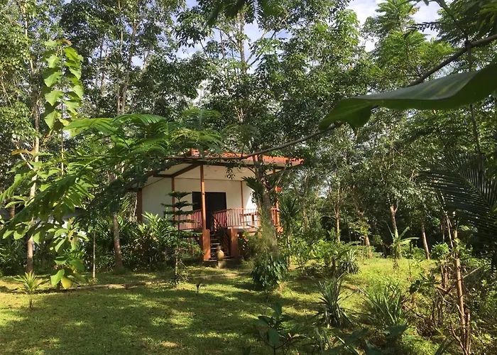 Baansuan Suksangob Farm Stay