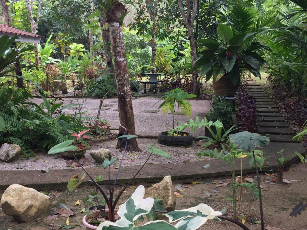 Baansuan Suksangob Farm Farm stay *