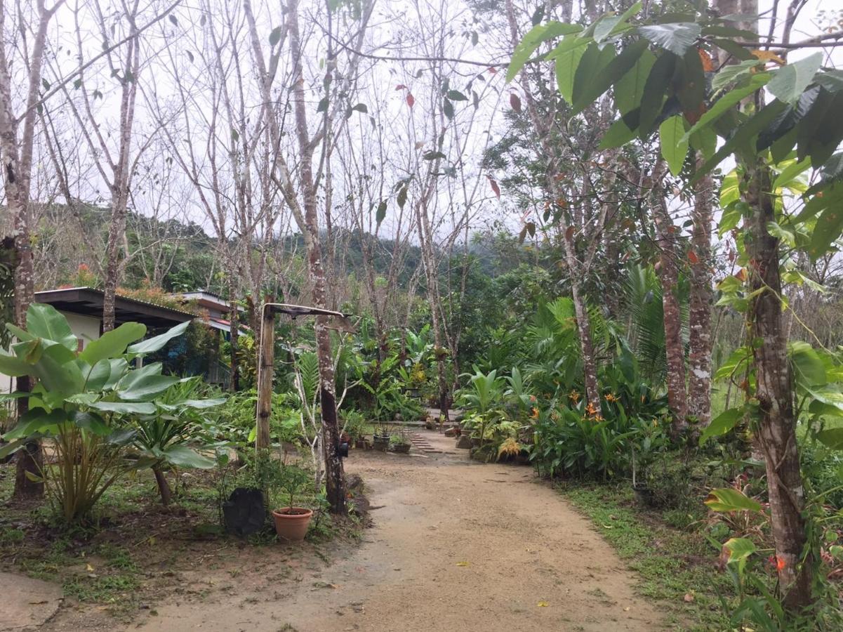 Farm stay Baansuan Suksangob Farm *