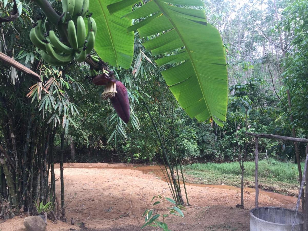 फार्म स्टे Baansuan Suksangob Farm Trang