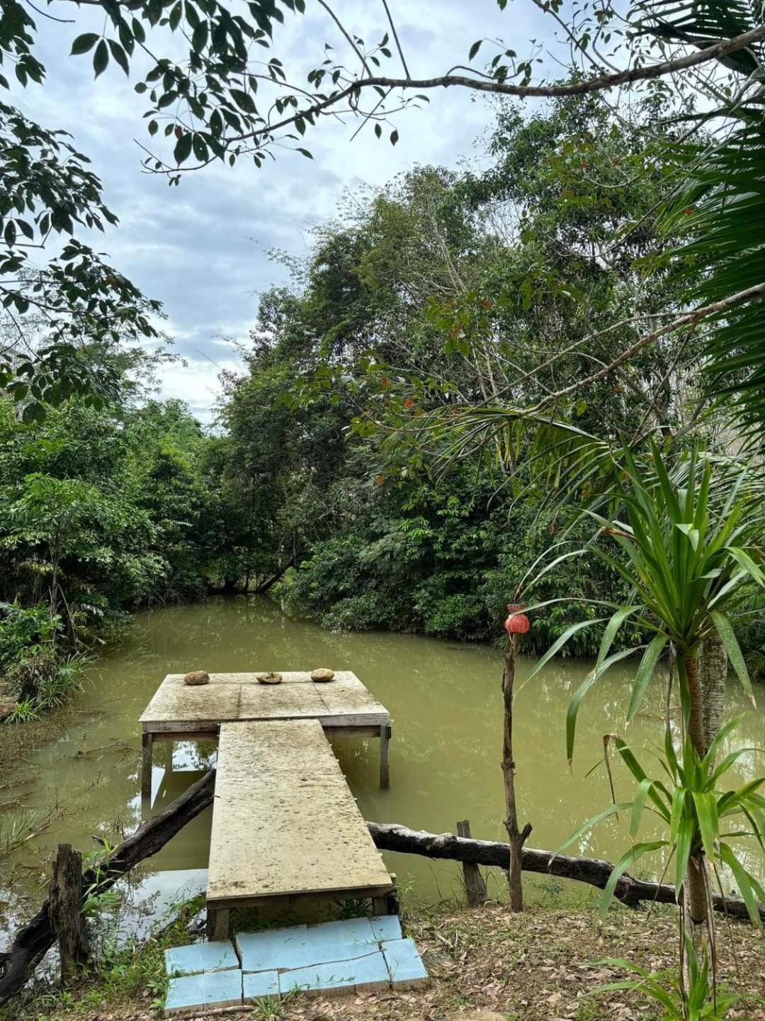 Farm stay Baansuan Suksangob Farm *