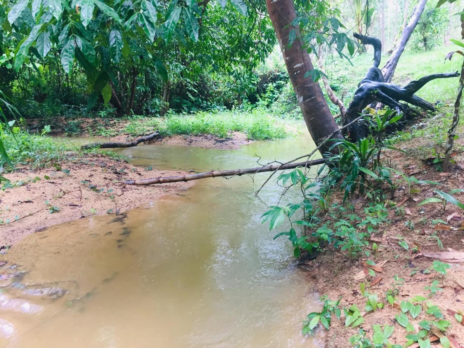 Farm stay Baansuan Suksangob Farm